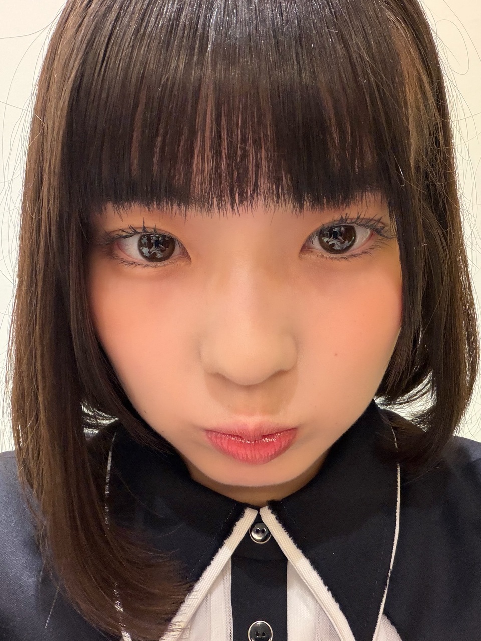 たかねこフェスありがとうございました。